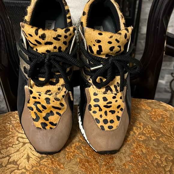 Steve Madden Shoes - Steve Madden Women's Cliff Animal Sneaker- Size 8